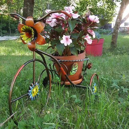 Le Saule Reveur Bed & Breakfast Die